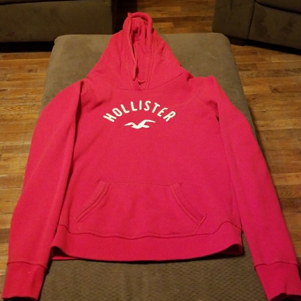 Hollister Logo  Hoodie